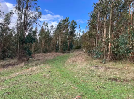 Captura de Pantalla 2026-01-13 a la(s) 18.49.24