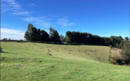 Captura de Pantalla 2026-01-13 a la(s) 19.02.10